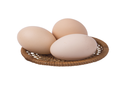 强业禽业厂家直供无抗鲜鸡蛋本地鸡场品质可靠批发定制