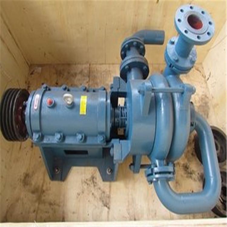 双叶轮压滤机泵 小型压滤机专用泵 ZJW型压滤机专用泵 辰龙泵业