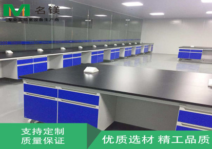 广州全钢中央实验台 防震实验室操作台 实验室家具办公工作台定制厂家
