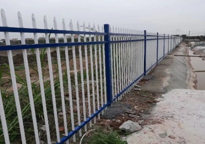广州金通直销市政道路护栏网 交通安全设施护栏网 城市道路隔离护栏厂家现货供应