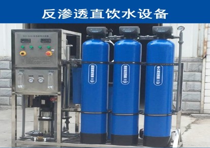 RO反渗透装置纯水设备工业用水设备去离子水设备