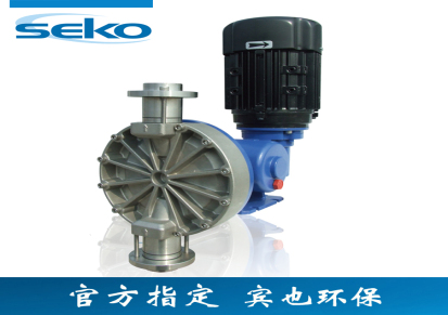SEKO 机械隔膜计量泵 MS1B108C4加酸泵型PVDF