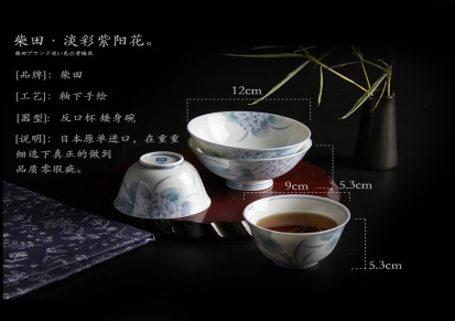 日本进口餐具个性日式釉下彩茶杯主人杯泡茶碗茶具煎茶道具