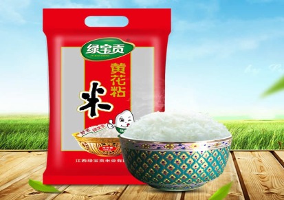 绿宝贡黄花粘10KG江西大米晚稻餐饮专用大米