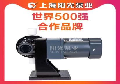 上海阳光泵业DJ-L型隔膜式计量泵 计量泵 污水计量泵 电动隔膜计量泵