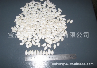 出口级白瓜籽 15厘米（规格） 产地直销 欢迎前来采购