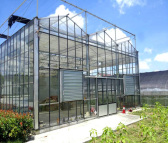 玻璃温室大棚建造 合肥建野规格全 淮南玻璃温室