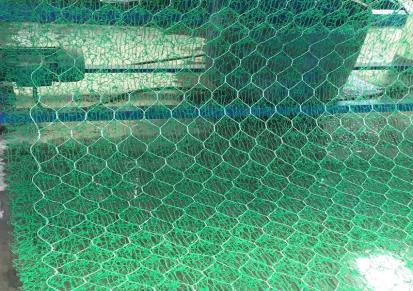 专业厂家生产 河道护坡加筋垫 边坡绿化加筋麦克垫 欢迎选购