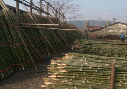 厂家直销 绿化支撑毛竹梢 农用小竹竿 菜架竹，早元竹各种竹类