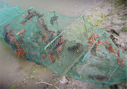 铭湾 大型养鱼青蛙水产网箱 泥鳅鱼苗养殖网箱