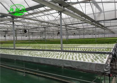 无土栽培大棚有机蔬菜种植方法 鑫时代免费提供指导