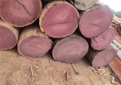 工程紫心木供应商 祥云木业 原木进口一站式服务