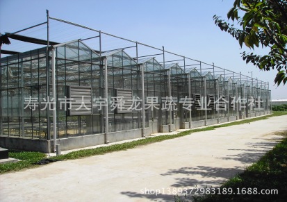 舜龙农业专业承建全国高档智能连栋温室、玻璃连栋温室设计建造