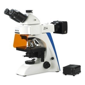 荧光显微镜BK-FL