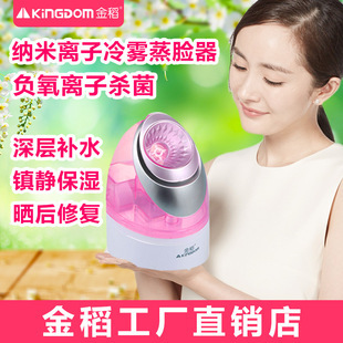 金稻KD-308新款洁面仪 超声波洗脸美容仪 硅胶洁面仪洗脸仪