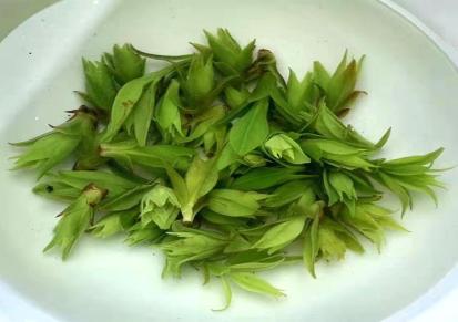 龚府散装新茶头采小米芽小叶苦丁青山绿水春茶绿茶批发市场