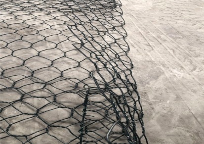 石笼网-格宾网-雷诺护垫-铅丝石笼网厂家- 安平县特威丝网制造有限公司
