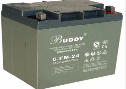 新款BUDDY宝迪蓄电池6-GFM-200 免维护绿色电瓶 UPS不间断电源