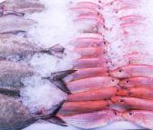海鲜水产保鲜剂山东创睦食品添加剂保鲜护色厂家直销