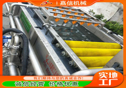 嘉信净菜加工生产线 蔬菜气泡清洗机 叶菜清洗设备 JX-109
