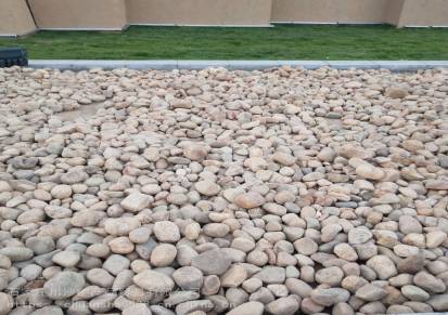 鹅卵石加工厂地面装饰鹅卵石鹅卵石滤料建筑铺路用白石子