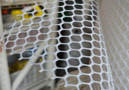 国筛 聚乙烯养殖脚垫网 家禽隔离网 规格多 可定制