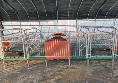 桐跃养殖养猪设备复合冷镀母猪产床限位栏猪用产保一体产床