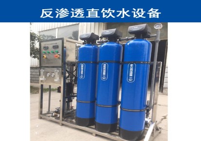 RO反渗透装置纯水设备工业用水设备去离子水设备