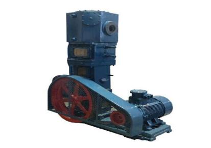 电动铸铁罗茨干式真空泵泰兴新型工业泵厂定制