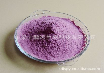 厂家供应紫薯全粉 纯度高 色泽深甘薯全粉 量大从优