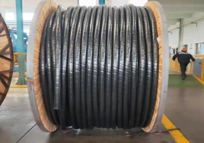 远东电缆YJV-0.6/1kV-3*10+2*6铜芯交联聚乙烯绝缘套电力电缆