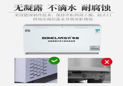 斌特 商用大冷冻柜卧式冷柜 BD-1198 大容量超低温冰柜厨具