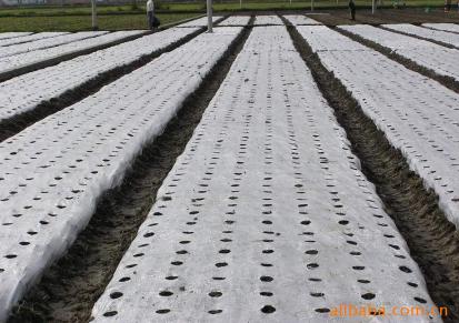 供优质农地膜适用棉花玉米马铃薯花生等农作物覆盖
