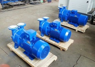 深圳2BV系列水环真空泵，高效率，防爆电机，长寿命,