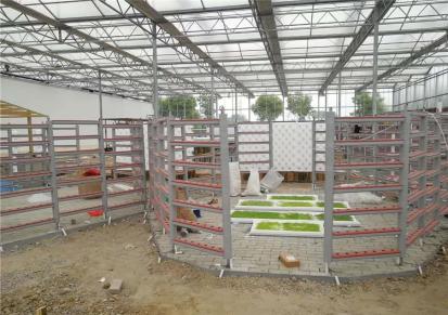 安徽安庆宿松立体农业厂家设计各种温室大棚定制策划新疆鸟巢温室建造商温控大棚规划