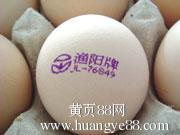 鸡蛋打码机-重庆豪胜机电优质供应