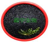 海藻精原粉 全水溶海藻酸超浓提取生根膨果着色 有机水溶肥 生物酶解海藻精原粉