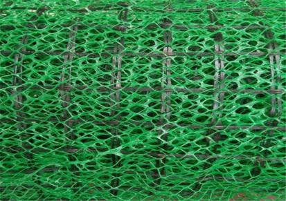 鲁亿 植草固土三维植被网 二层三层护坡网 公路护坡绿化用三维土工网垫