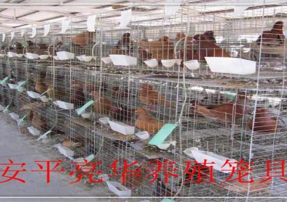 亮华鸽笼厂家批发3层12位广式鸽笼 养殖鸽子笼