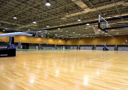 篮球柞木运动地板体育运动专用木地板洛可风情