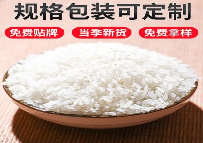 五常稻香大米 香米 东北五常大米 稻香米基地供应自产自销