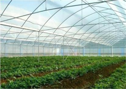 农业种植蔬菜薄膜拱棚 龙鼎温室公司 安装设计建造温室大棚