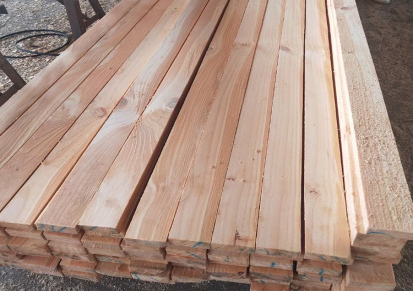 工地木方建筑 工程木方 中天木业