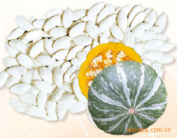 白瓜子 原产于宝清 品质优良 13CM
