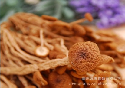 诚惠食品 大量批发香菇 干货 优质茶树菇
