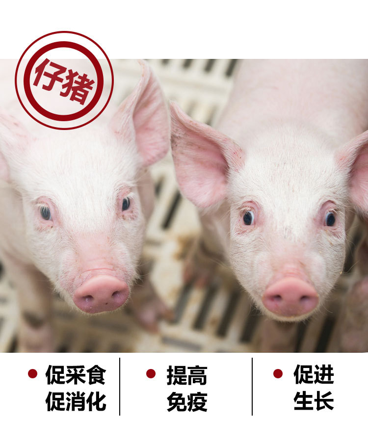 宝积猪用胆汁酸广告法_04.jpg