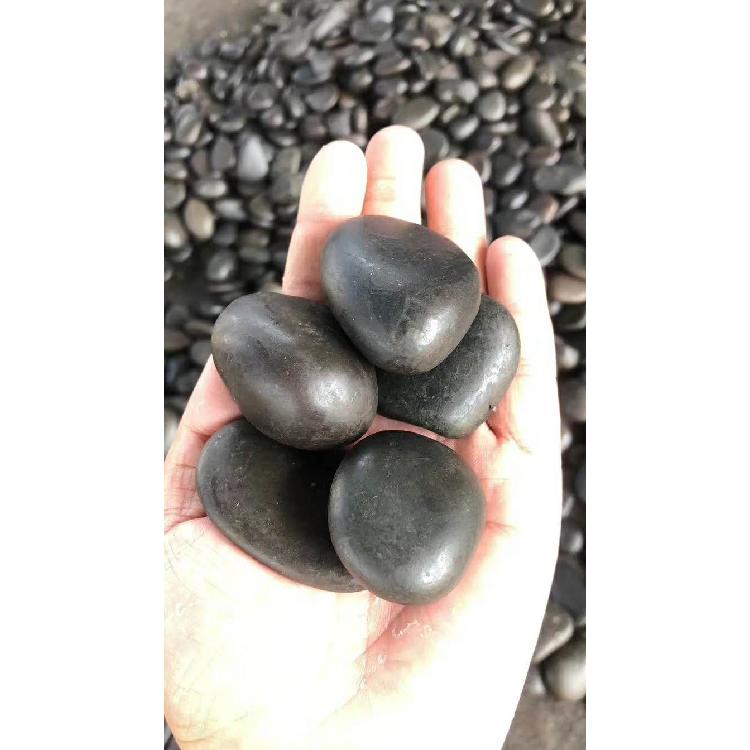黑色普抛鹅卵石 黑色鹅卵石生产厂家 黑色鹅卵石黑石子  远江