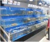广州海鲜鱼池便宜、广州海鲜鱼池价格、广州专业海鲜鱼池