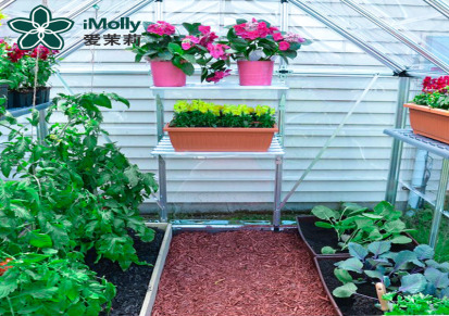 iMolly 园艺户外温室大棚 抗雪压暖房 家用种植花房铝合金骨架