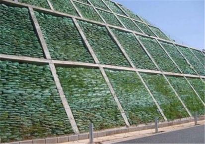 边坡防护 抗抗土工 框架梁填充护坡绿化生态袋 欢迎来电